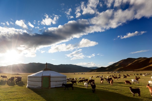 <span style="font-weight: bold;">Mongolia week tour </span><br>